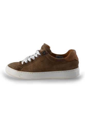 Van Lier Sneakers Bruin 242697