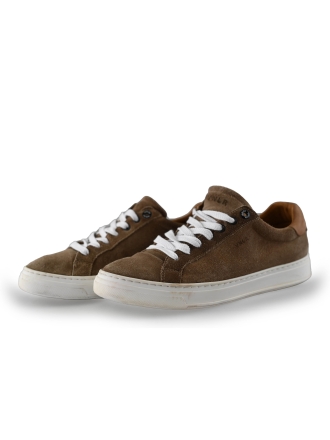 Van Lier Sneakers Bruin 242697