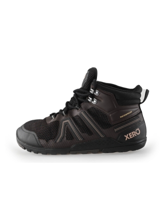 Xero Sneakers