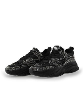 Steve Madden Sneakers