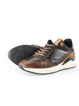 DenBroeck Sneakers