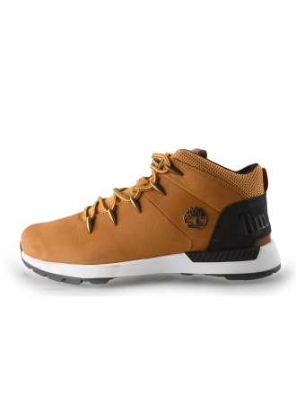 Timberland Sneakers