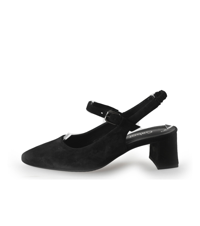 Gabor Pumps
