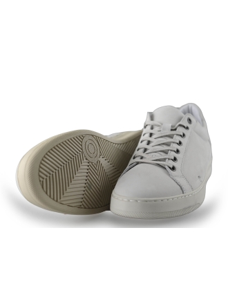 Melvin Hamilton Sneakers