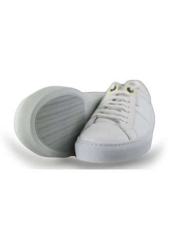 Manfield Sneakers