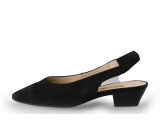 Gabor Pumps