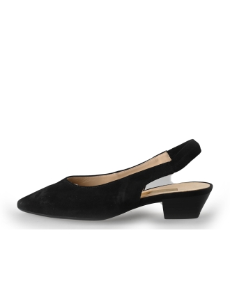 Gabor Pumps