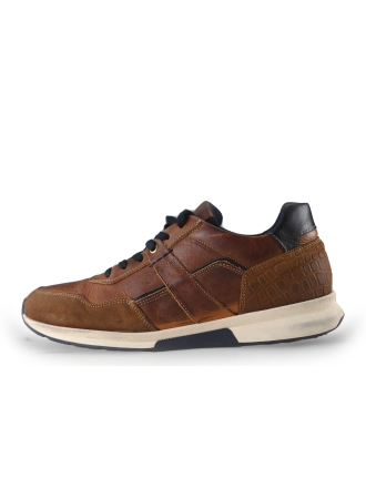 rapid soul Sneakers Bruin 266255