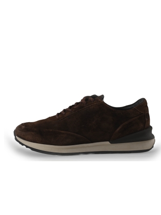 Greve Sneakers Bruin 267960