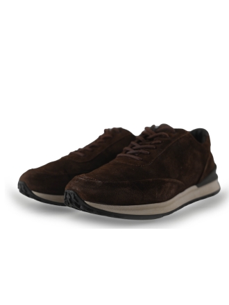 Greve Sneakers Bruin 267960