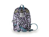 Zebra Trends