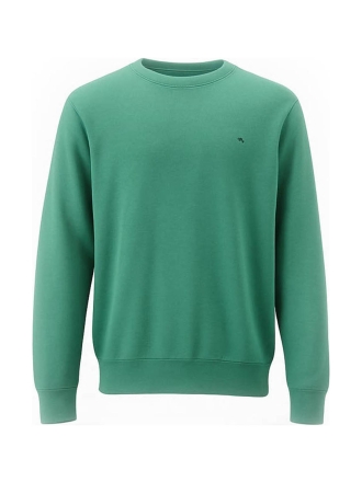 Fynch-hatton Trui Groen 600021