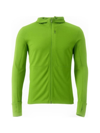 Icebreaker Trui Groen 600519