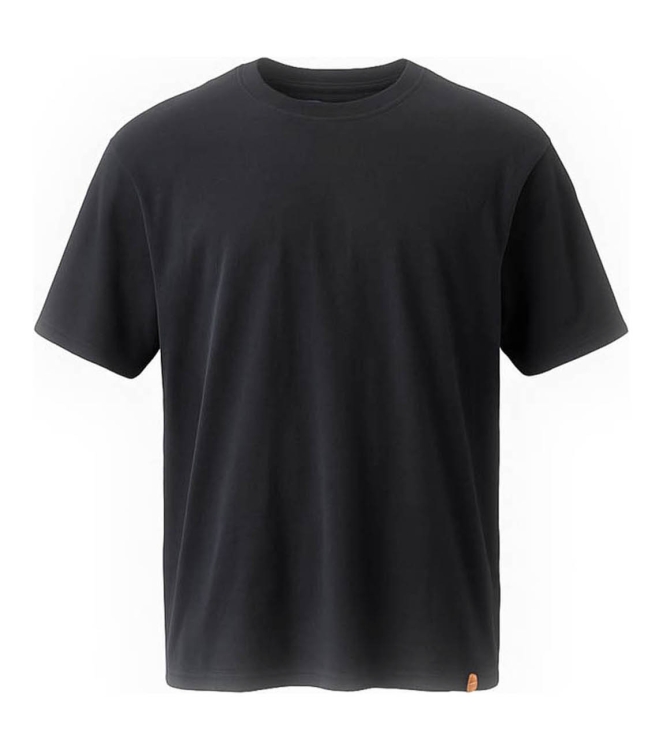 Dickies T-shirt
