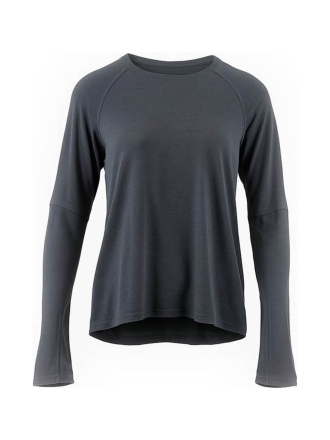 Icebreaker T-shirt Grijs 600847