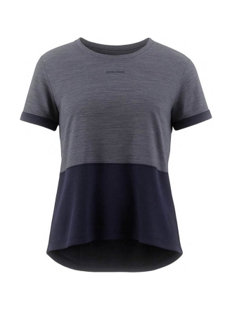 Icebreaker T-shirt Grijs 600874