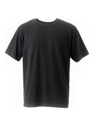Dickies T-shirt