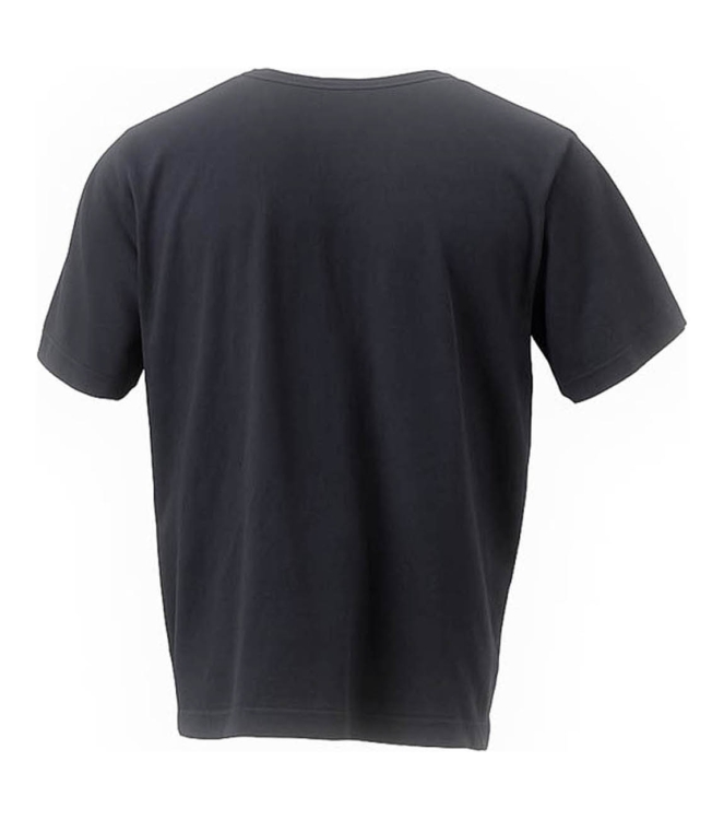 Dickies T-shirt
