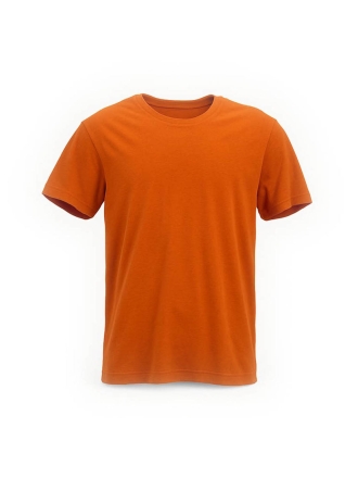 Icebreaker T-shirt Oranje 601533