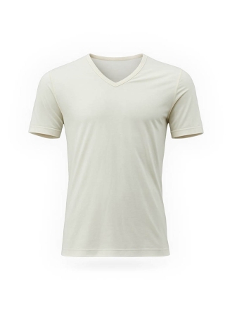 Icebreaker T-shirt Wit 601536