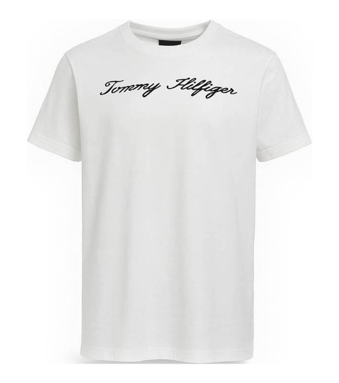 Tommy Hilfiger T-shirt