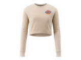Dickies T-shirt