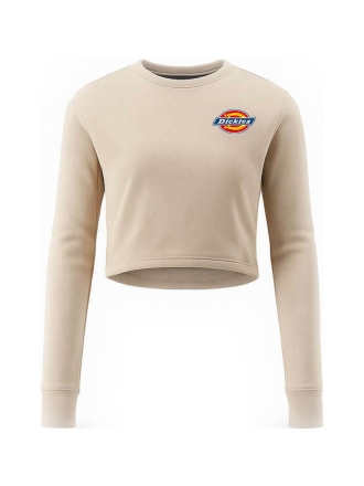 Dickies T-shirt Beige 602362