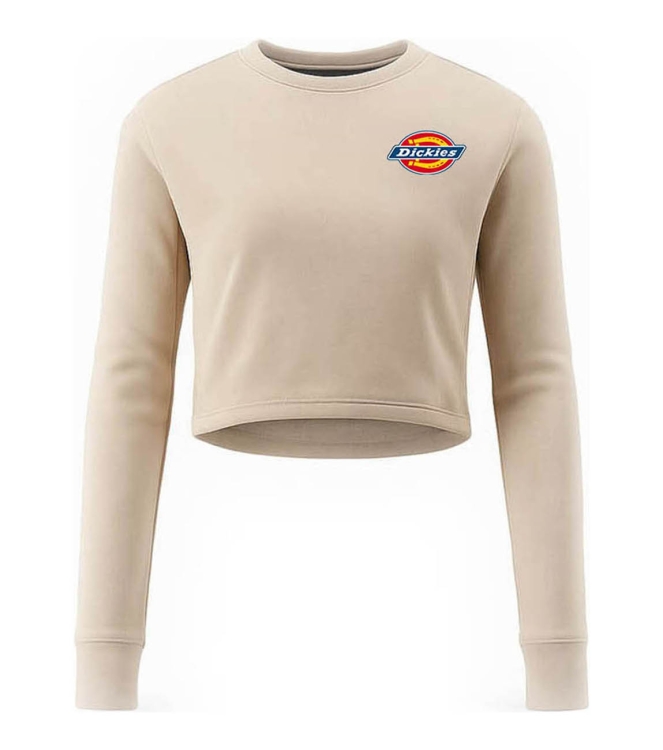 Dickies T-shirt