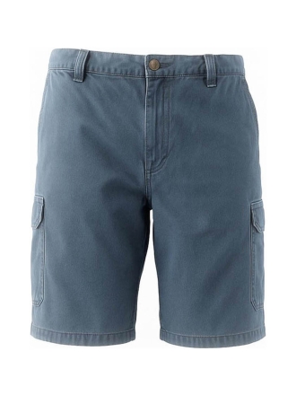 Dickies Broek Blauw 602425