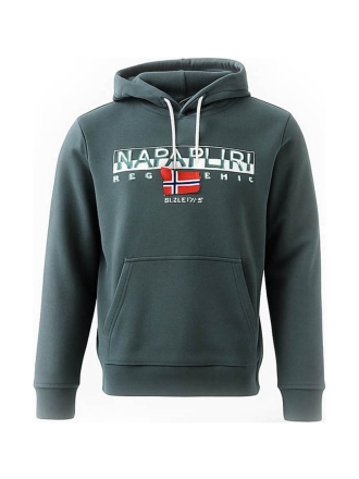 Napapijri Hoodie Groen 602580