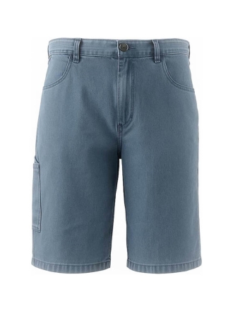 Dickies Broek Blauw 602681