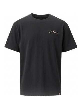 Dickies T-shirt Zwart 602791