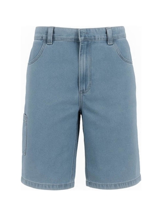 Dickies Broek Blauw 602803