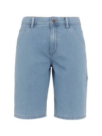 Dickies Broek Blauw 602828