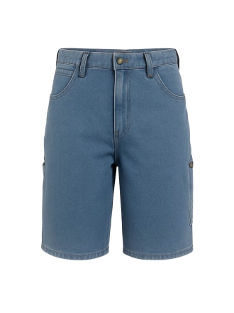 Dickies T-shirt Wit 602865